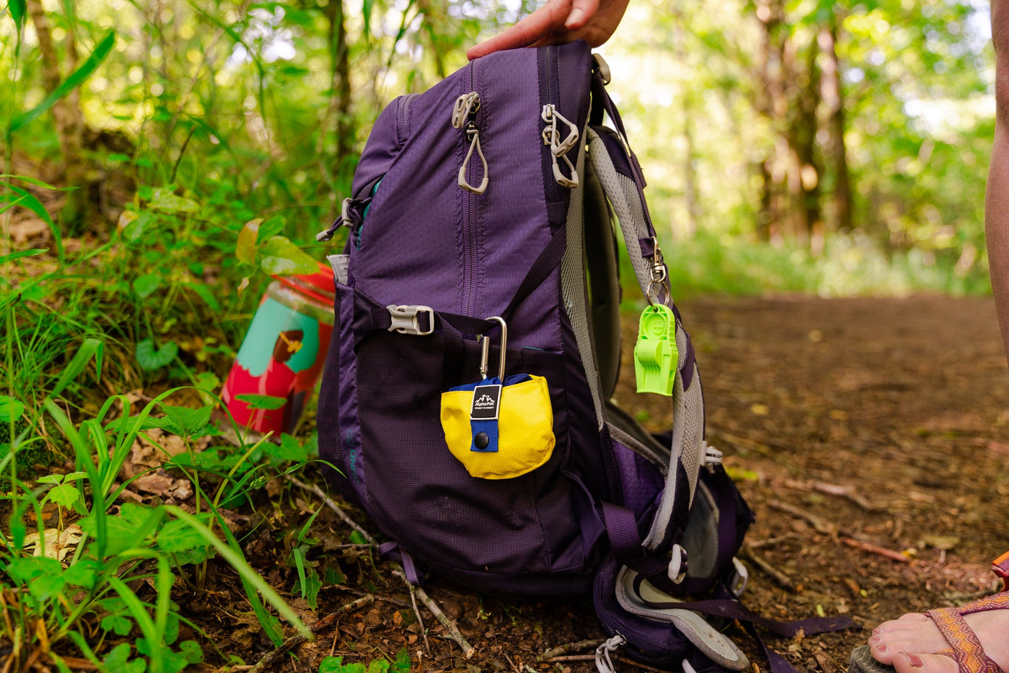 Gallatin Lightweight Collapsible Dog Bowl - Purrfect Pet Kingdom