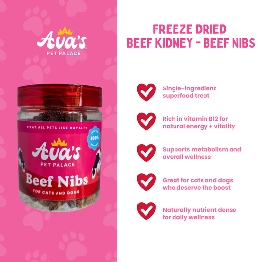 Freeze Dried Beef Kidney - Beef Nibs