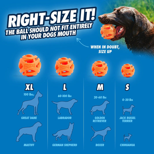 Chuckit Dog Breathe Fetch Ball Interactive Dog Toy Durable - detail view