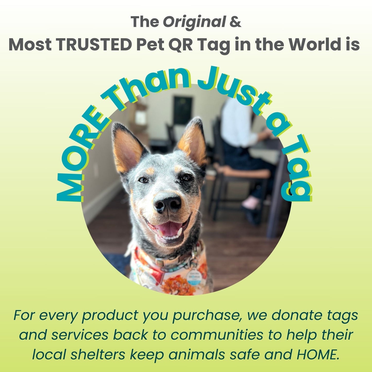 PetHub Pet Safety Home Decal – Emergency Pets Inside Alert - Purrfect Pet Kingdom