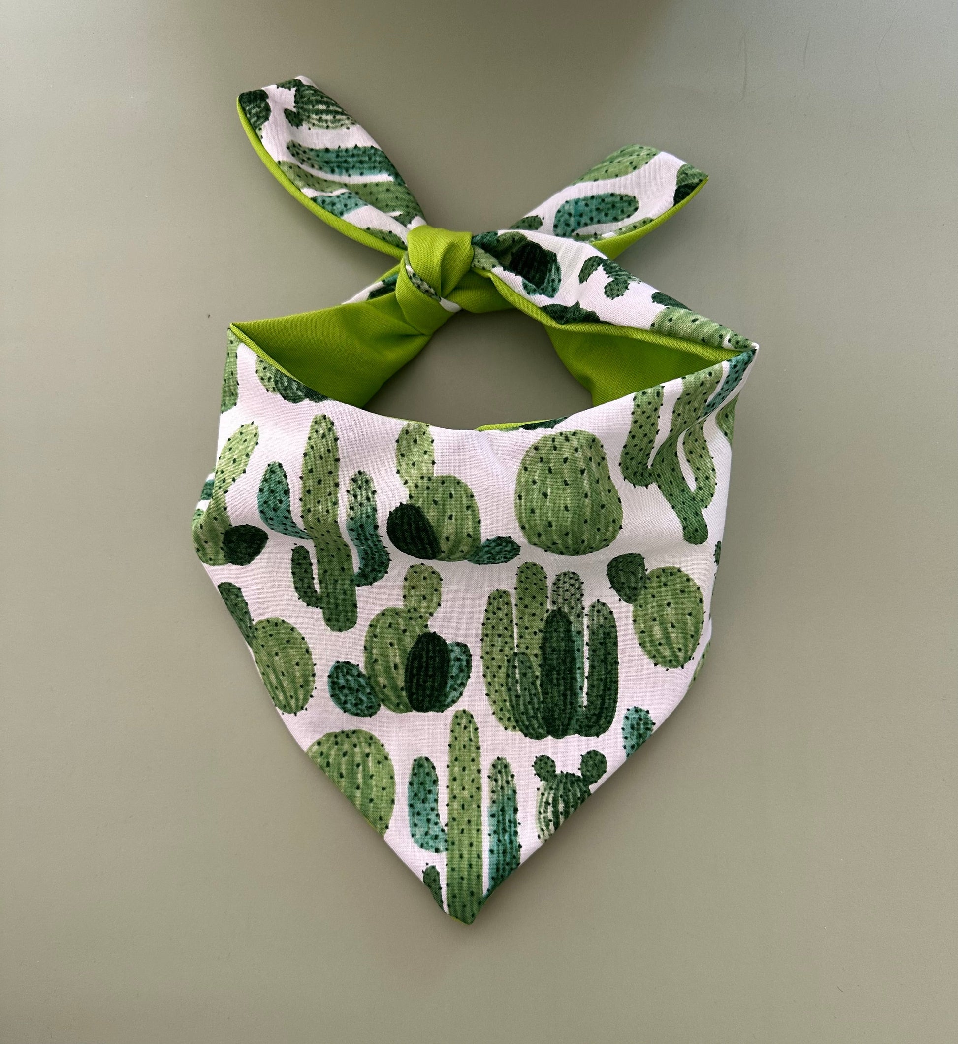 Cactus Dog Bandana - Purrfect Pet Kingdom