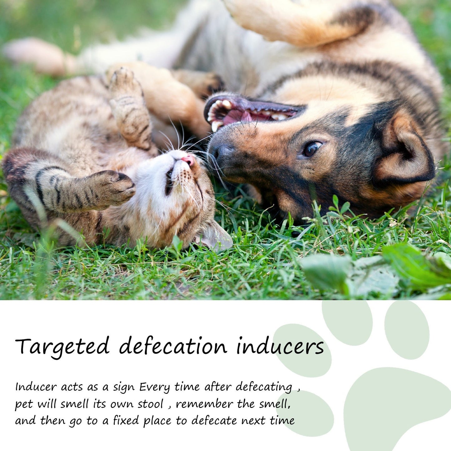 Pet Location Training Agent for Toilet Induction and Waste Positioning - Purrfect Pet Kingdom