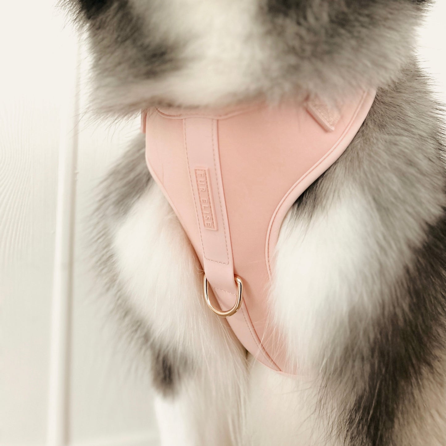 Elise Harness - Rose - Pet Harnesses - Elise Galleria