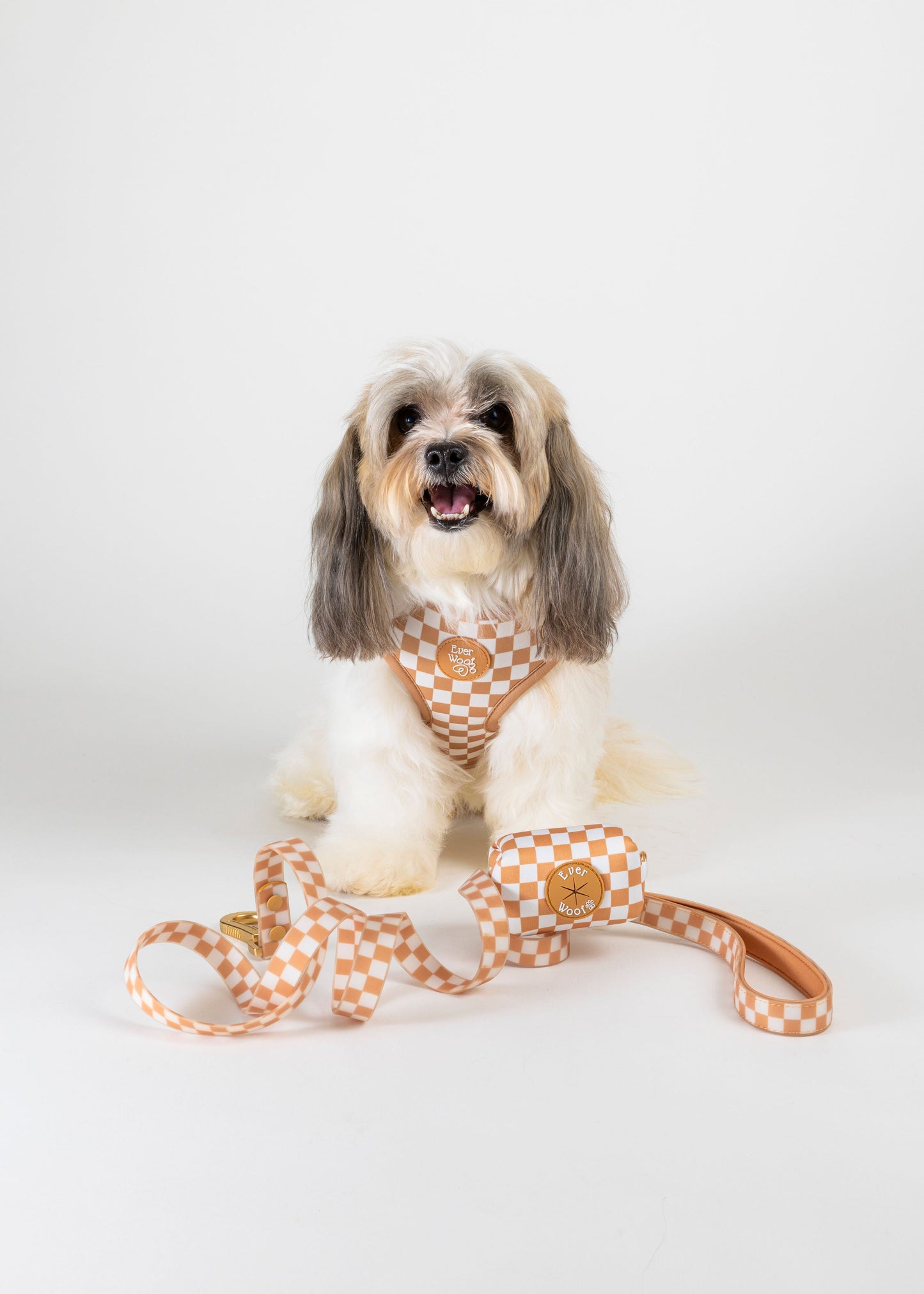 Pet Harness Harness Check Me Out Adjustable Harness Essentia - close up product image for pet harness
