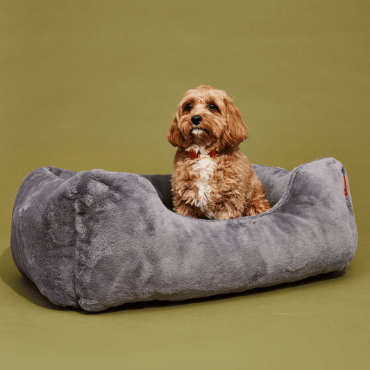 The Sammy Bolster Dog Bed