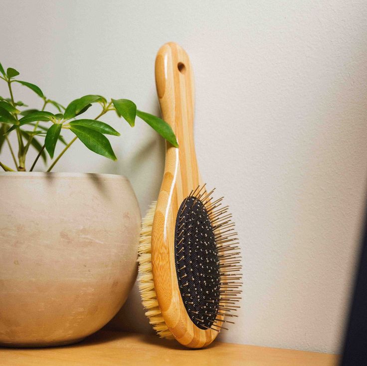 Two - Sided Pet Brush – Bristle & Wire for Shedding & Detangling - Pet Grooming Brush - Tilley + Me