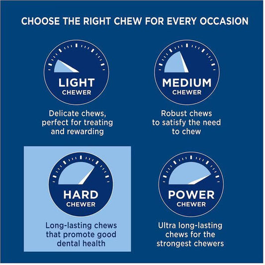 Barkworthies Beef Femur Bone Natural Long Lasting Dog Treat