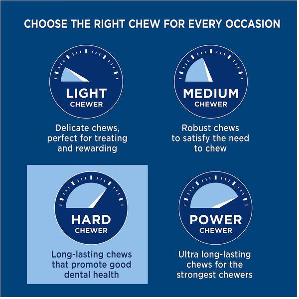 Barkworthies Beef Fillet Knuckle Bone Dog Treat (1 count) - Dental Dog Treats - The Family Pet