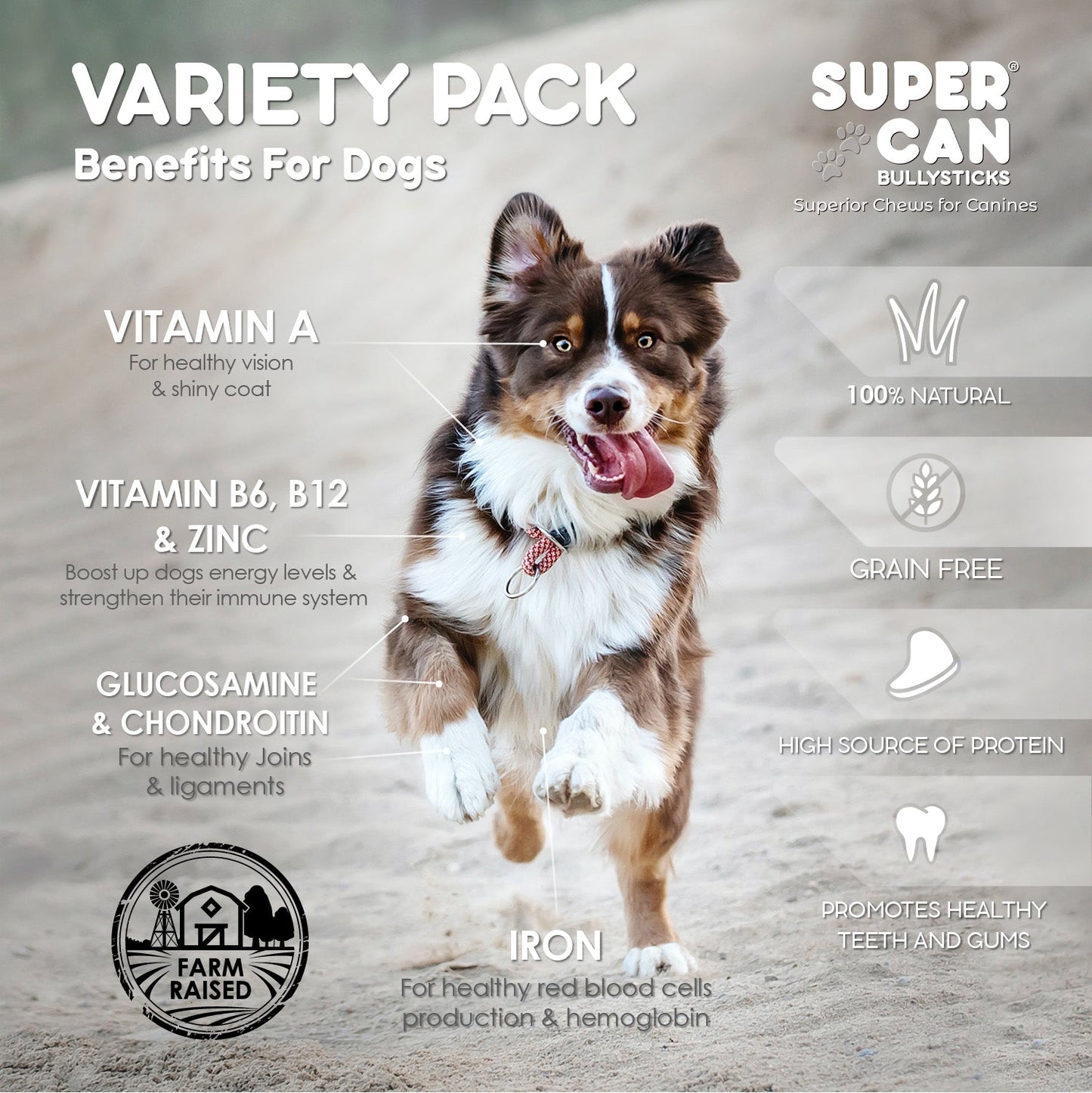 Mega Mix - Variety Pack 2lb - Purrfect Pet Kingdom