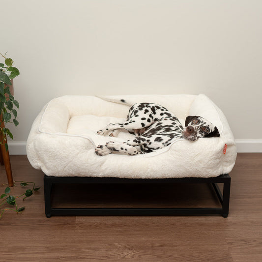 The FÜZI Elevated Dog Bed