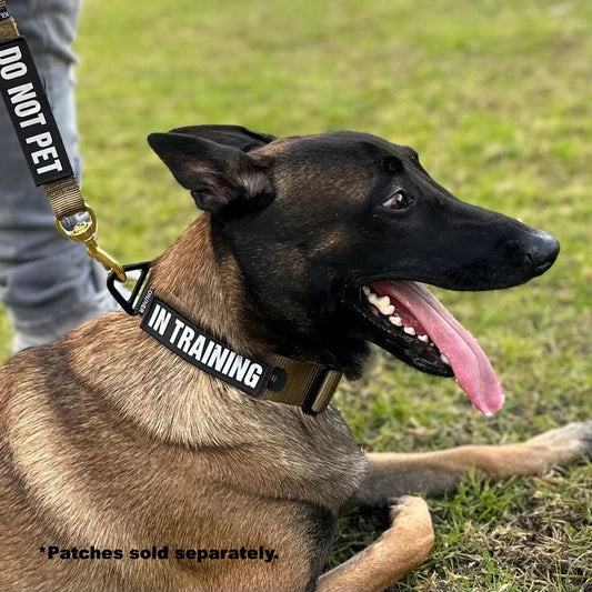 K9R - BCH Big Dog Collar Heavy Duty