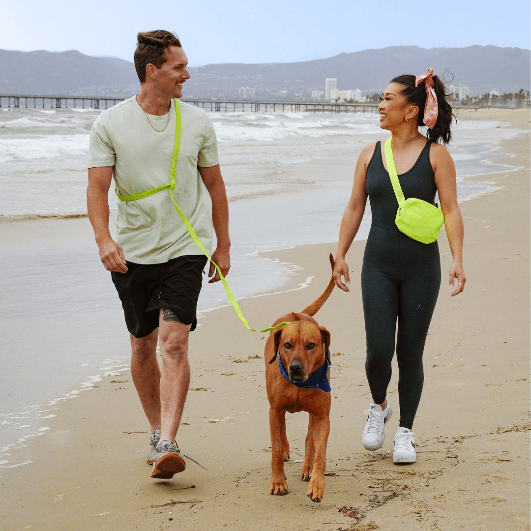 PVC Handsfree Dog Leash - All Weather Waterproof Durable & Odor-Resistant - Purrfect Pet Kingdom