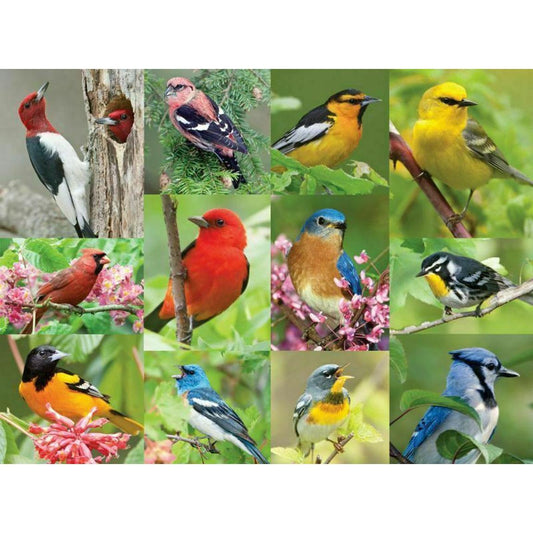 Birds of a Feather 500 Piece Jigsaw Puzzle Springbok
