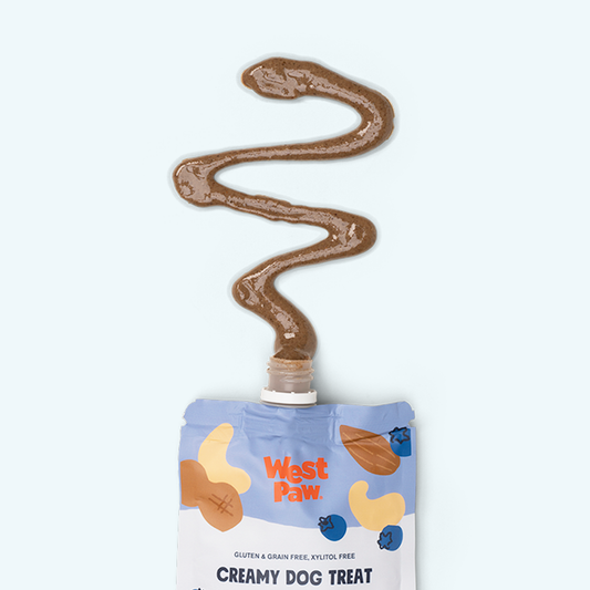 Nut Butter, Blueberry, and Chia Seed | Purrfect Pet Kingdom