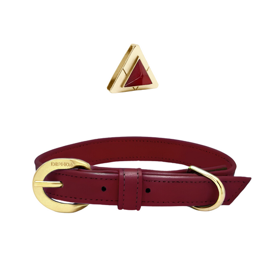Bordeaux Carnelian Collar & Charm Set - Purrfect Pet Kingdom