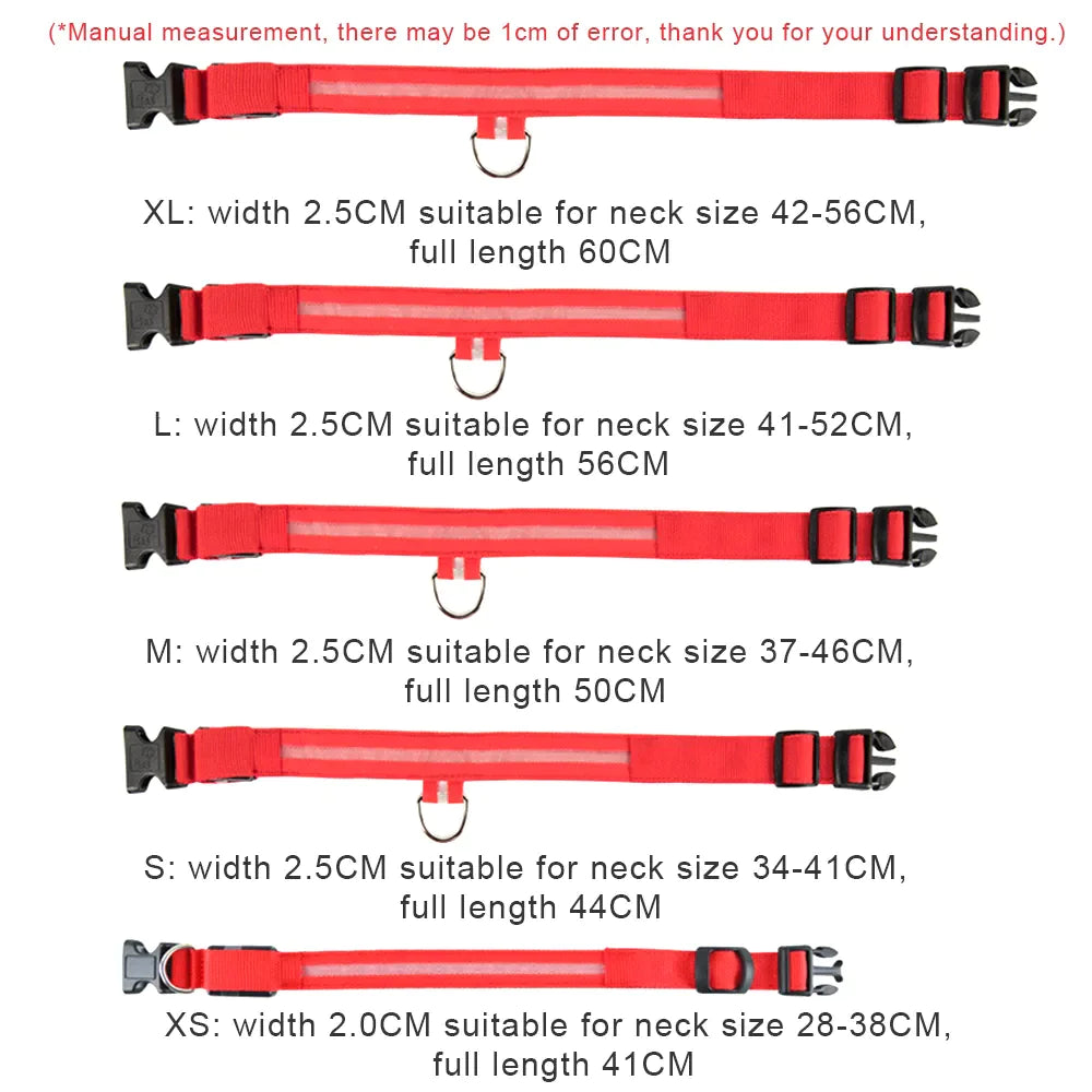 Royal Luminous Safety Pet Collar Adjustable LED Night Visibility ๐ก๐