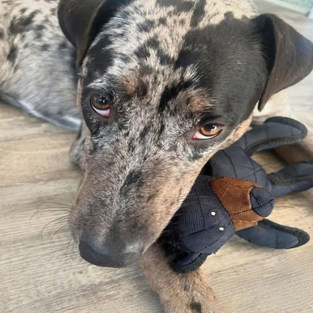 Mighty Bear Pet Soundmaking Toy Plush Interactive Dog Toy Grinding Cleaning Teeth Anti Bite Abreact Plaything Bear Pets Supplies