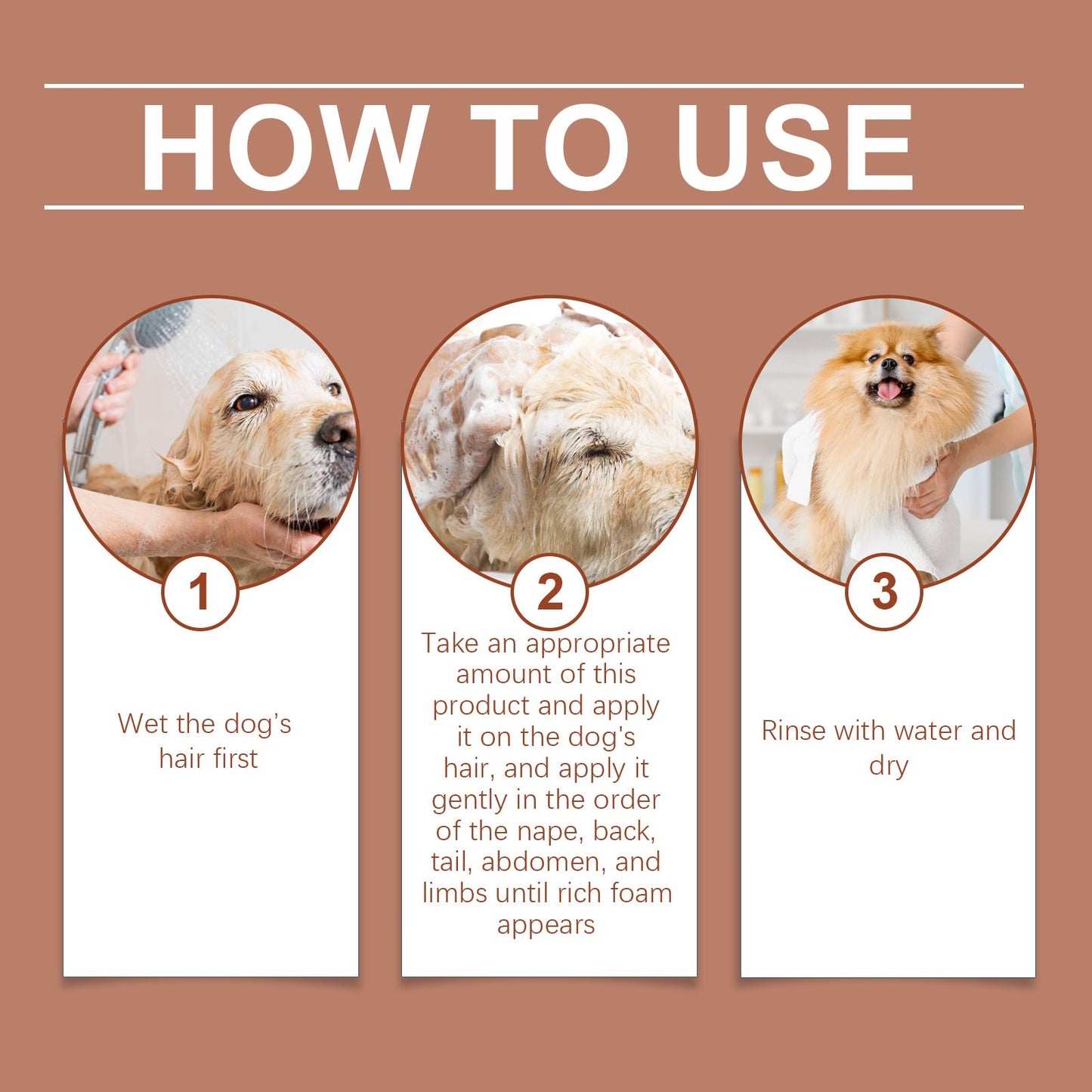 Brown 3-step dog shampoo guide: wet coat, lather for rich foam, rinse, then towel dry a golden retriever.
