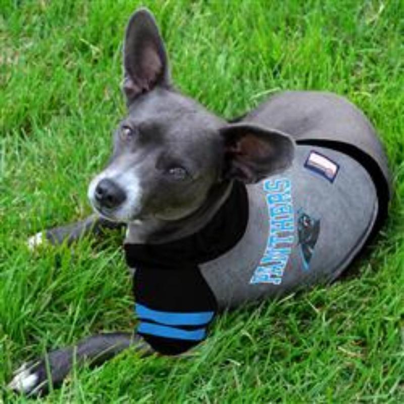 Carolina Panthers Hoody Dog Tee
