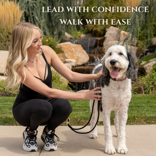 Calm Command No-Pull Dog Leash for Gentle Training Control