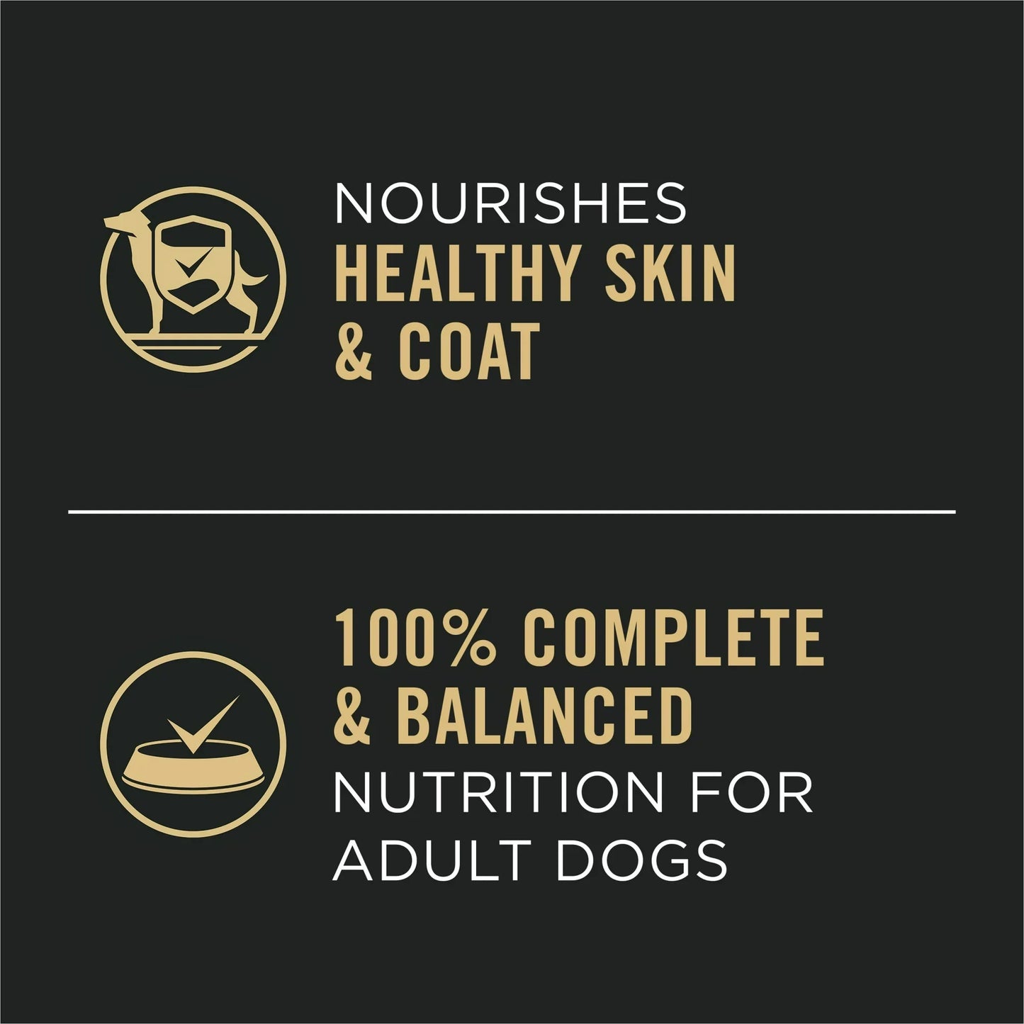 Pro Plan Complete Essentials Adult Chicken & Rice Entrée Classic Wet Dog Food (13oz)