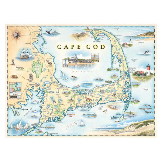 Cape Cod 1000 Piece Jigsaw Puzzle Xplorer Maps