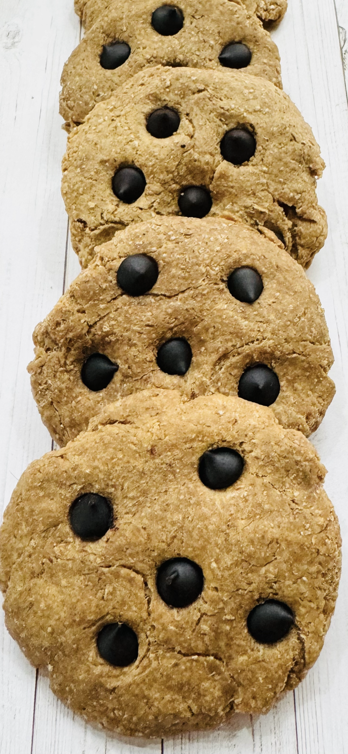 Tootsies & Treats Peanut Butter Carob Chip Cookies 6oz - Tootsies & Treats - The Family Pet