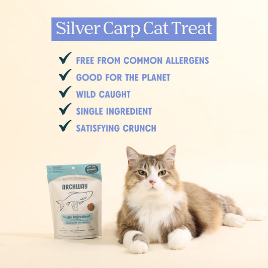 Silver Carp For Cats - Cat Treats - Arch Pet Food