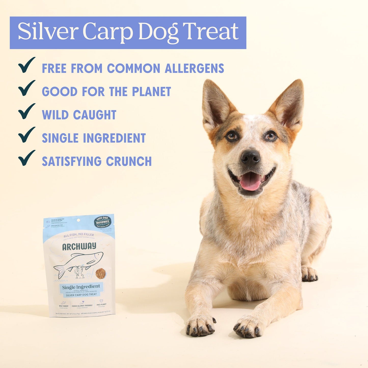 Silver Carp For Dogs - Dog Treats - Arch Pet Food