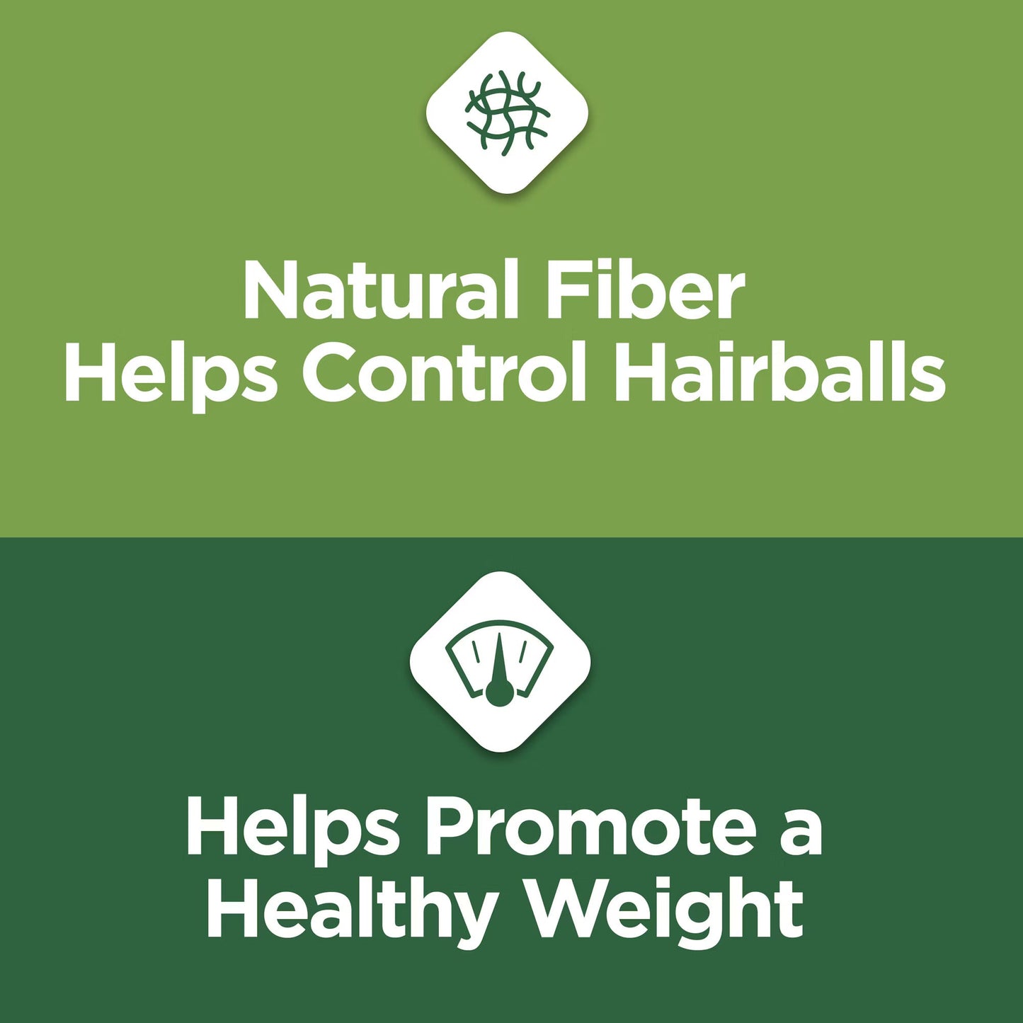 Cat Chow Naturals Indoor Chicken Cat Food - Cat Chow Dry Cat Food - The Family Pet