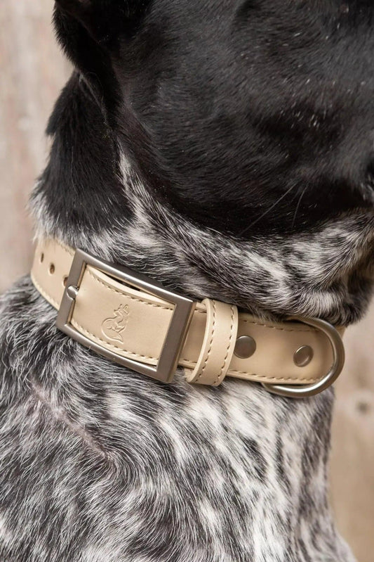 Champagne Fizz Vegan Leather Dog Collar Adjustable Dog Gear - detail view