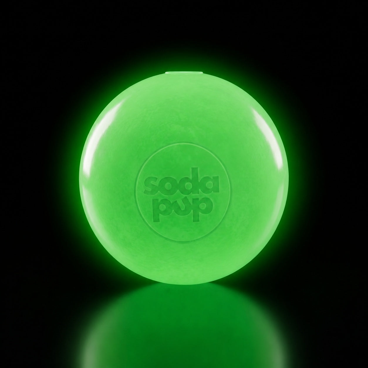 Dog Treats Squeak Ball Durable Squeaky Toy Floats Chew Toy