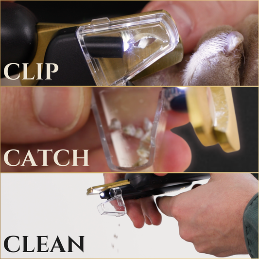Wasatch Pup black/gold pet clippers: CLIP with LED light, CATCH in clear guard, and CLEAN for easy nail disposal.