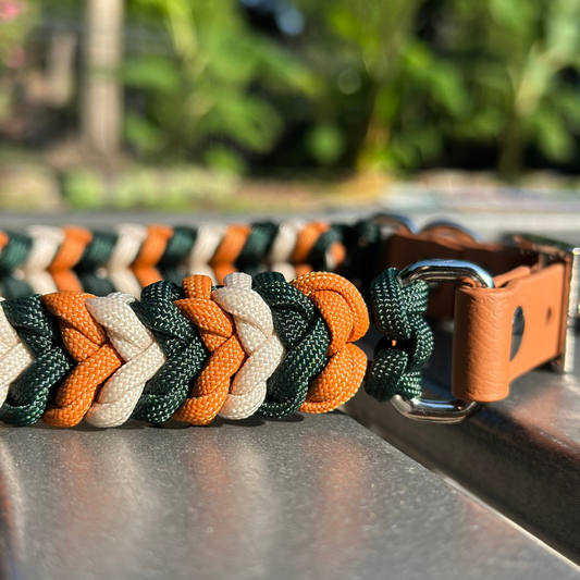 Coiled Charm Hand Braided Dog Collar in Hunter Green,