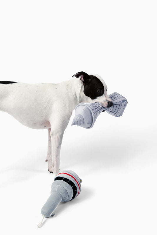 Dog In Seattle Nose Work Dog Toy - Purrfect Pet Kingdom