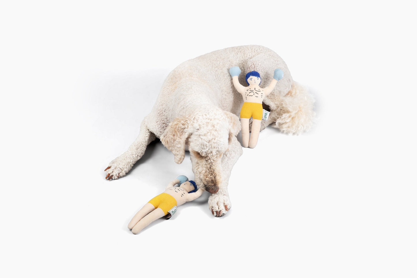 Dog Toy Champ Rocky Nose Work Enrichment Puzzle