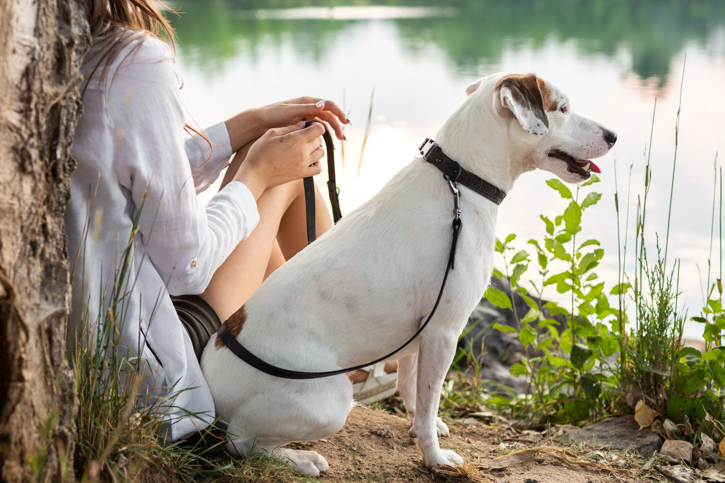 Celtic Sport Midnight Black Leather Dog Collar - Dog Harnesses - Euro - Dog Collars and Leads