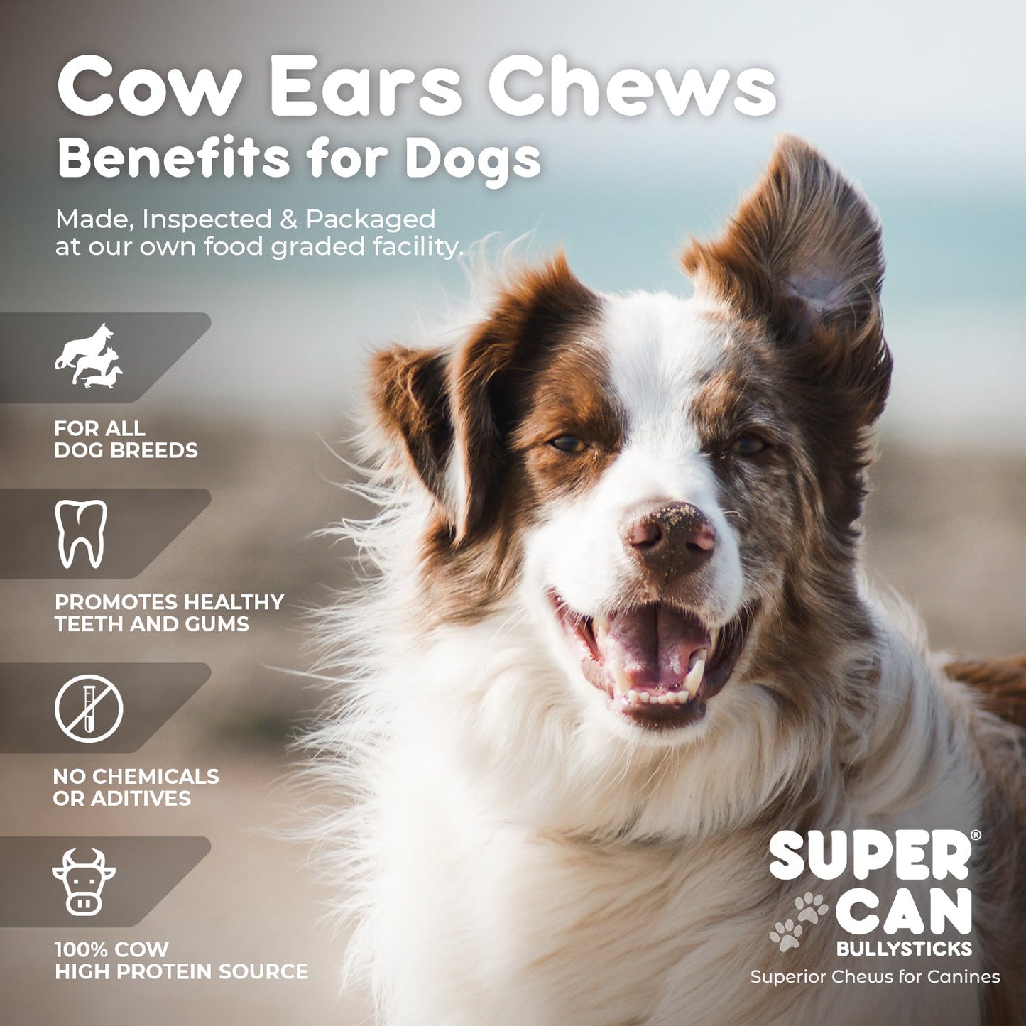 Dog Chews Cow Ears 15 Pack Natural ๐ฆด