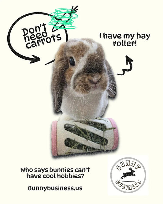 Hay Roller-Matte White Small Animal Rabbit Habitat Toy Accessory