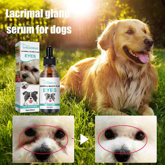 Tear Duct Serum For Dogs, Cats And Dogs Removal Eye Poop Pet
