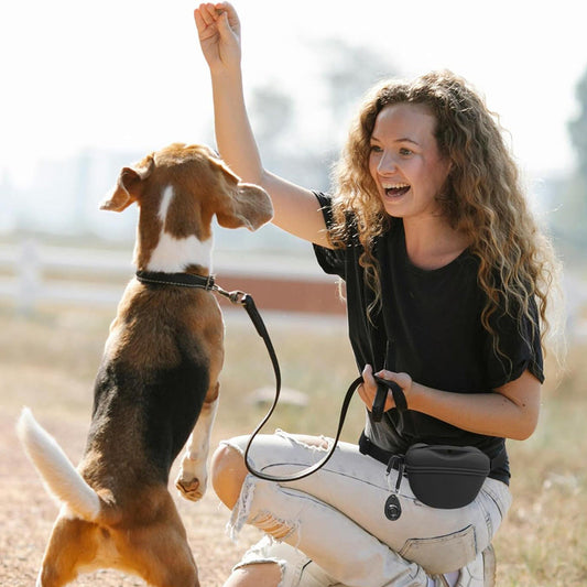 Silicone Dog Training Waist Bag Outdoor Portable Crossbody