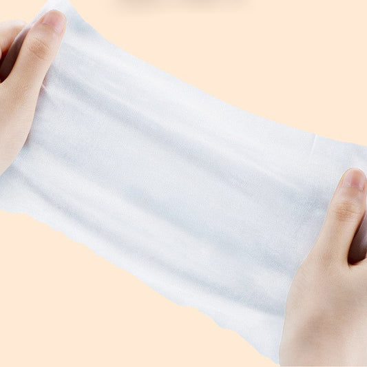 Pet Care Wet Wipes 100 Sheets Dog No-Rinse Cleaning Tissues