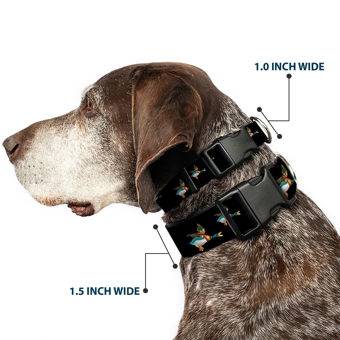 Dog Collar Plastic Clip Flying Mallards Black USA ๐