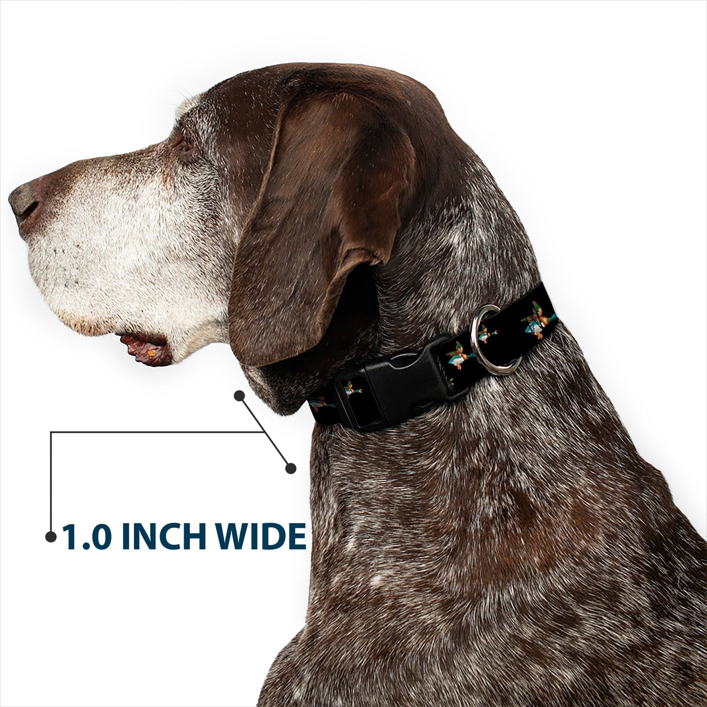 Dog Collar Plastic Clip Flying Mallards Black USA ๐