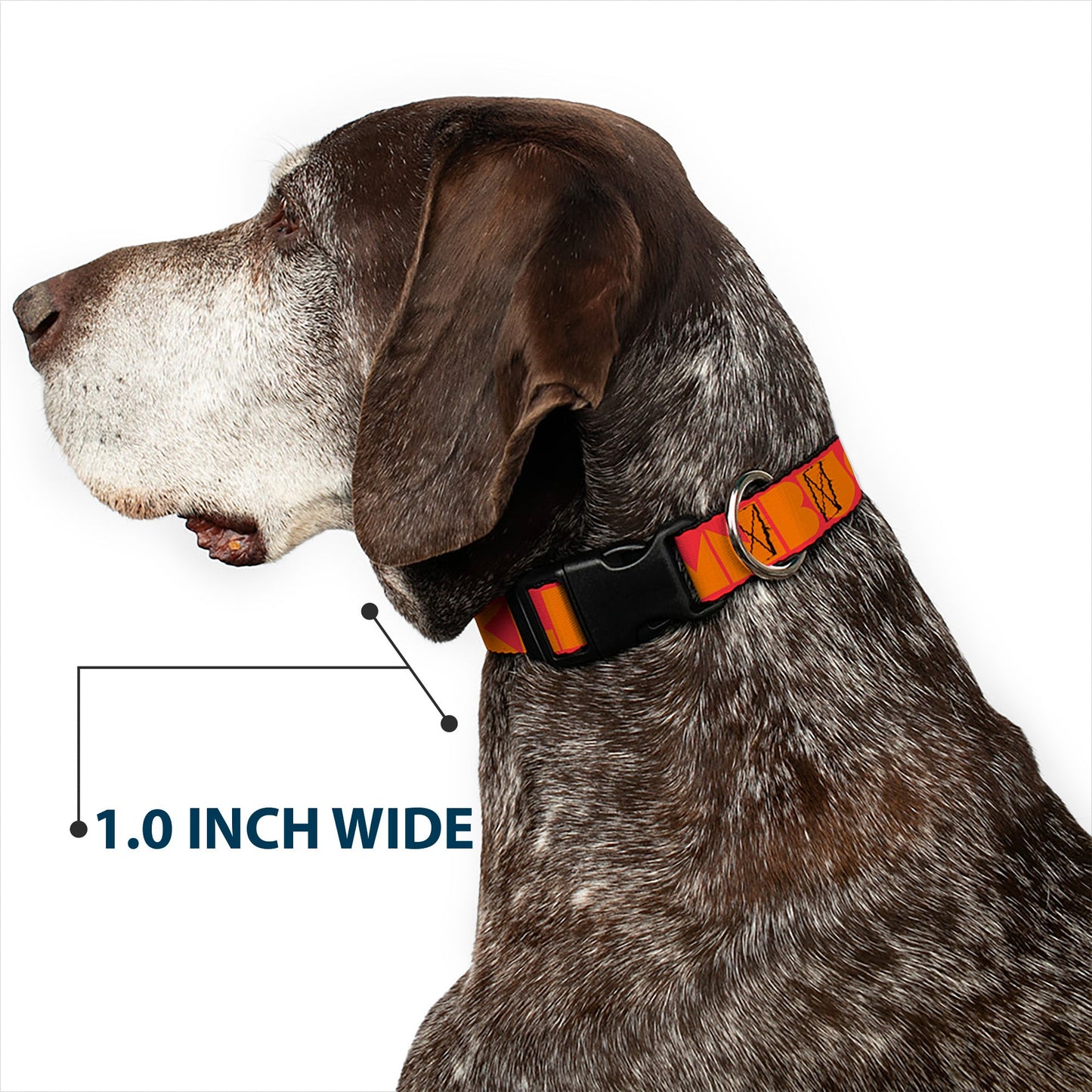 Plastic Clip Collar - BUCKLE - DOWN Shapes Red/Orange - Premium Dog Collars - Buckle - Down