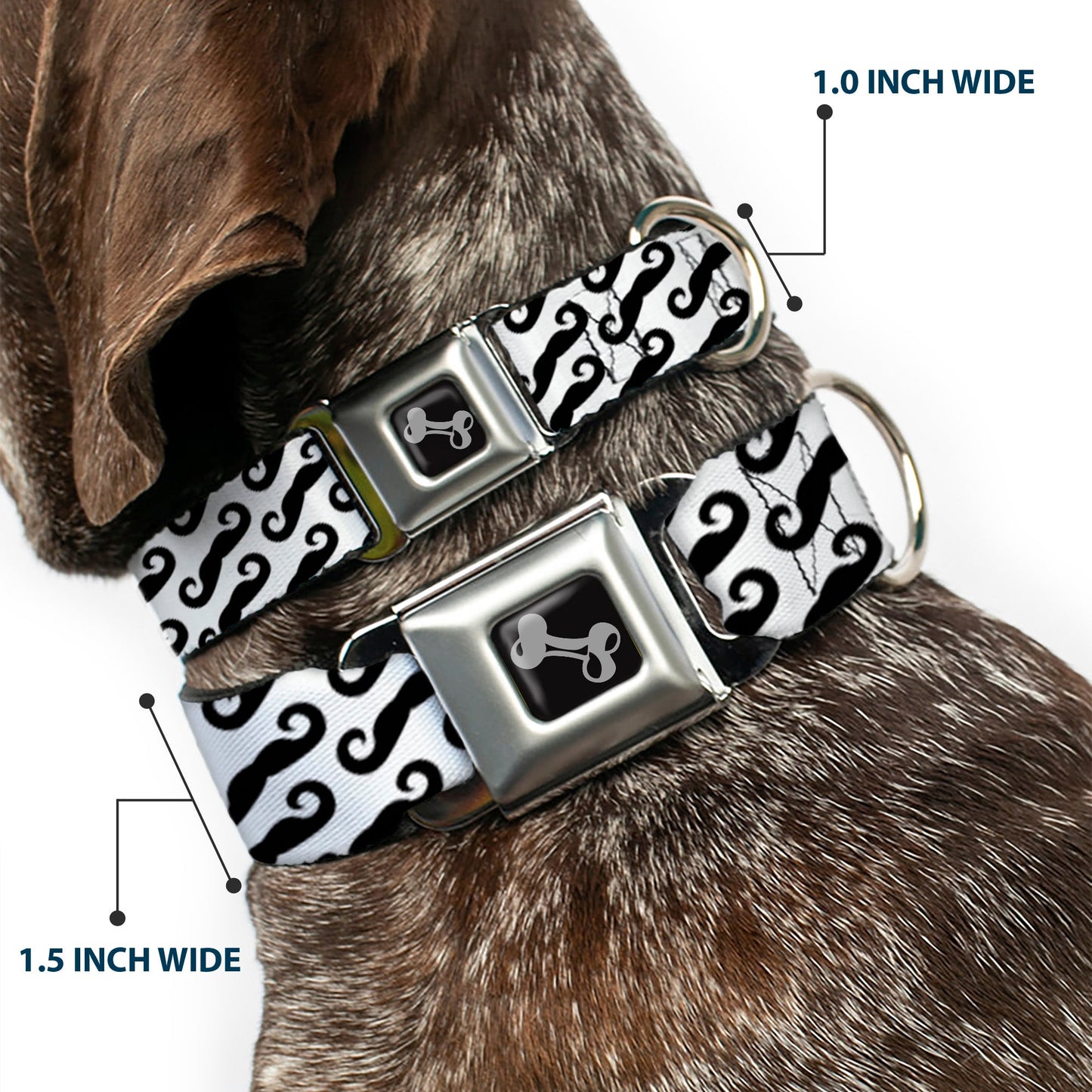 Dog Bone Seatbelt Buckle Collar - Diagonal Handlebar Mustaches White/Black - Seatbelt Buckle Collars - Buckle - Down