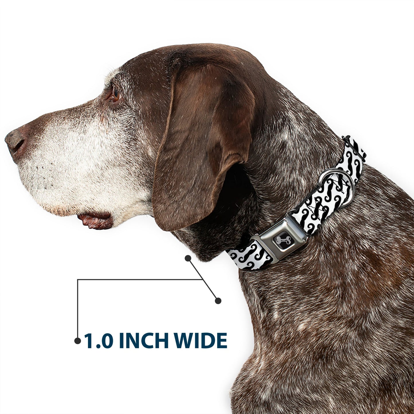 Dog Bone Seatbelt Buckle Collar - Diagonal Handlebar Mustaches White/Black - Seatbelt Buckle Collars - Buckle - Down