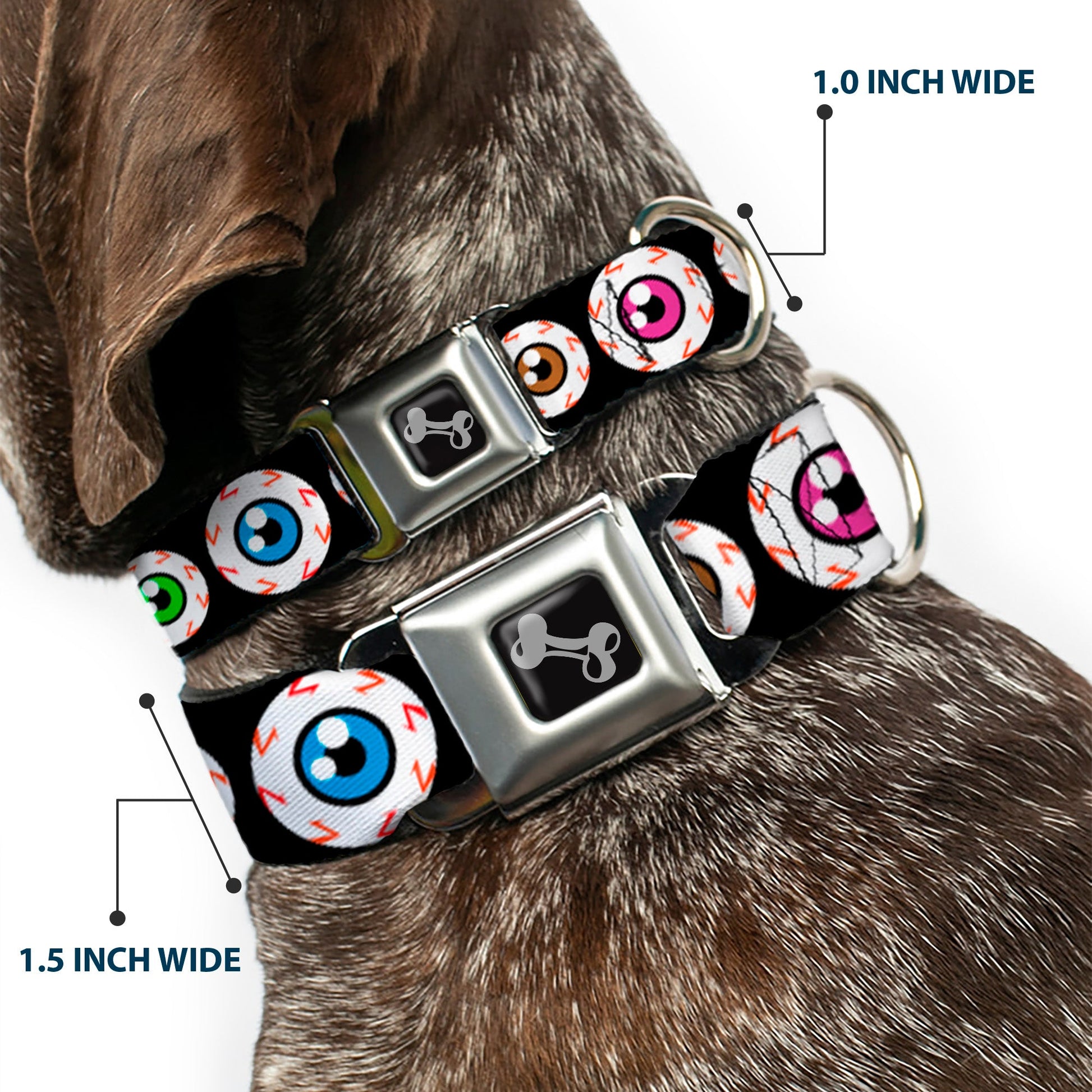 Dog Bone Seatbelt Buckle Collar - Eyeballs Black/Multi Color - Seatbelt Buckle Collars - Buckle - Down