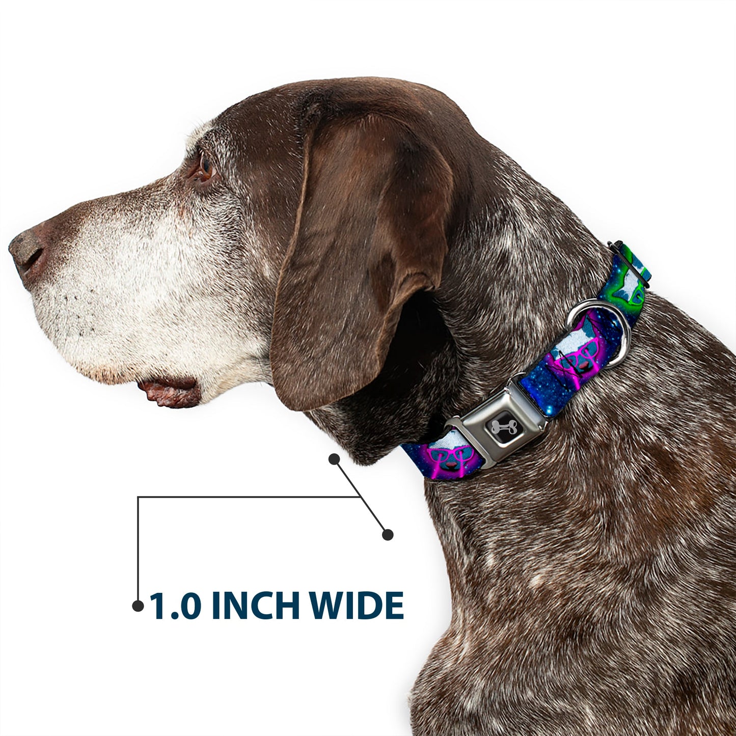 Dog Bone Seatbelt Buckle Collar - Laser Eye Cats in Space - Seatbelt Buckle Collars - Buckle - Down