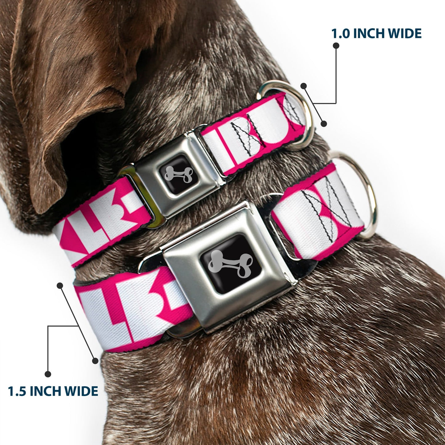 Dog Bone Seatbelt Buckle Collar - BUCKLE - DOWN Shapes Hot Pink/White - Seatbelt Buckle Collars - Buckle - Down
